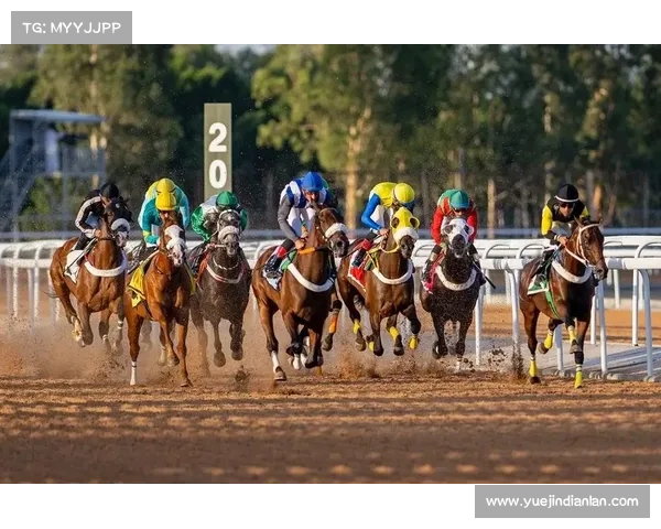 世界竞赛有哪些