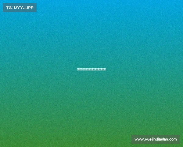 专业玩家之选：美国市场热门电竞手机盘点